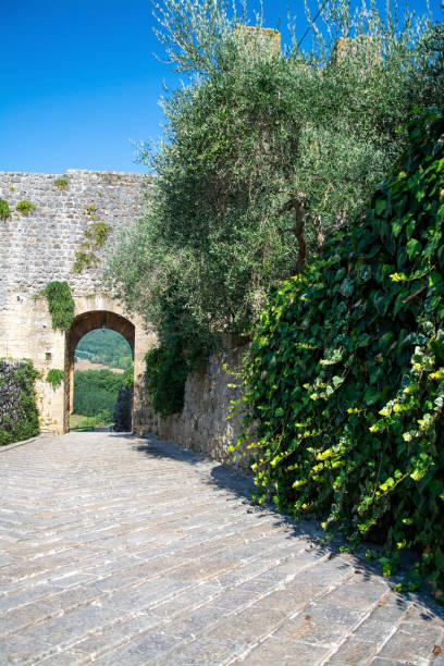 istock Monteriggioni, Tuscany, Italy 1212801997