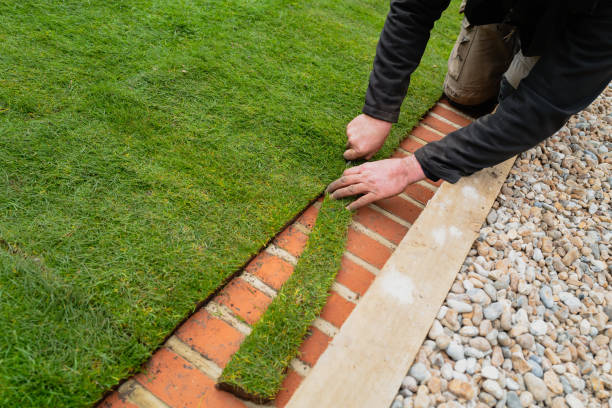 ein mann, der neu verlegten naturrasen entlang des ziegelmähbandes am rasenrand trimmt - gartenarchitekt stock-fotos und bilder