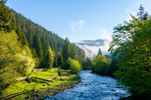 istock mountain river on a misty sunrise 1212809475