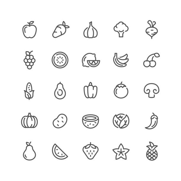Fruits and Vegetables Line Icons Set Vector Fruits and Vegetables line icons set. common beet stock illustrations