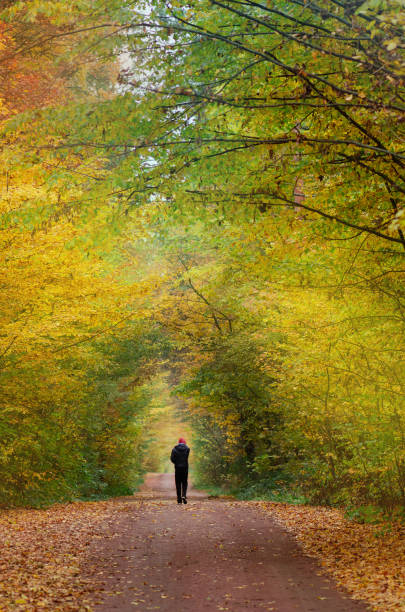 istock Man on a hiking trip. Walk in breathtaking autumn forest 1212821325