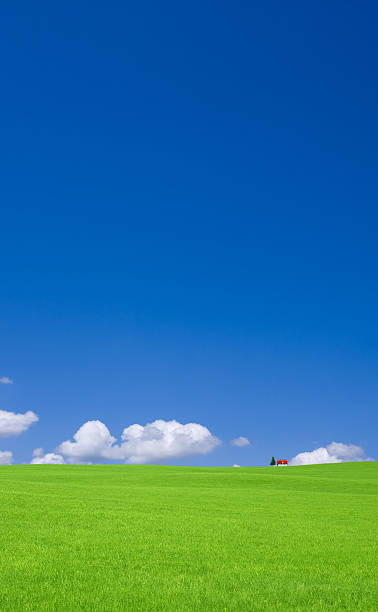 istock Green hill and red roof house 121282737