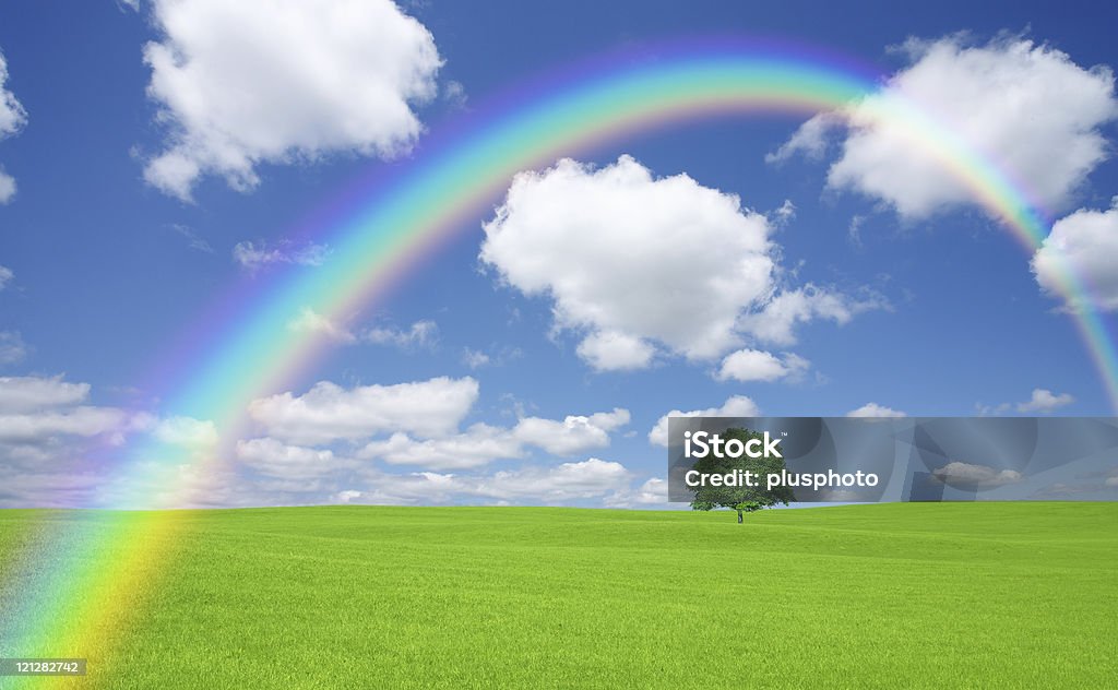 Campo Verde com árvore e arco-íris - Foto de stock de Agricultura royalty-free