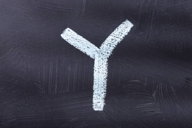 istock Letter Y - Hand drawn alphabet font 1212830791