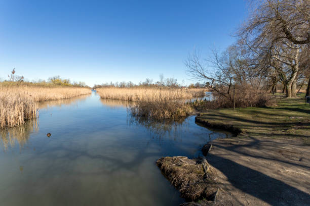 istock Floating swamp trail in Szigetszentmiklos, Hungary 1212834550
