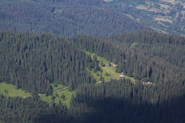 istock Isolated monastery in pine forest in Romania 1212839409