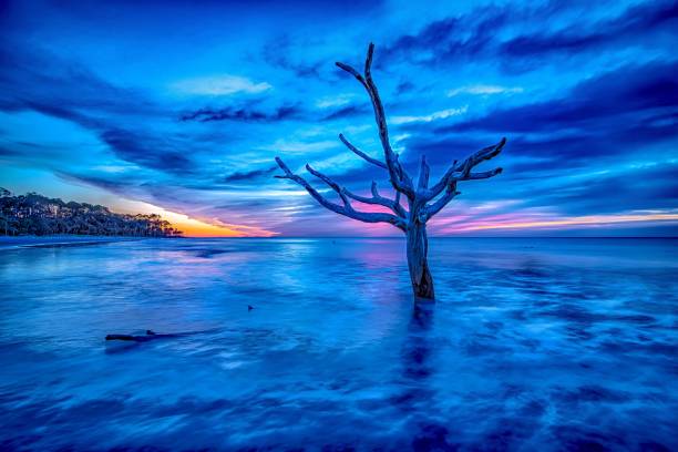 istock Hunting island south carolina beach scenes 1212839529