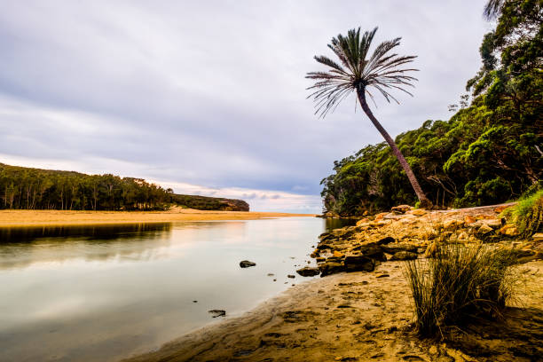 istock A quiet moment along Wattamolla creek before a thunder storm 1212840179