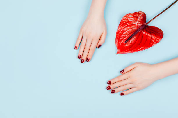 istock Red manicure and flower. 1212840693