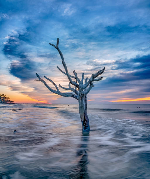 istock Hunting island south carolina beach scenes 1212841859