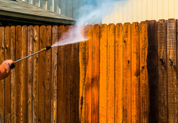 istock Cleaning Wooden Fence 1212846850