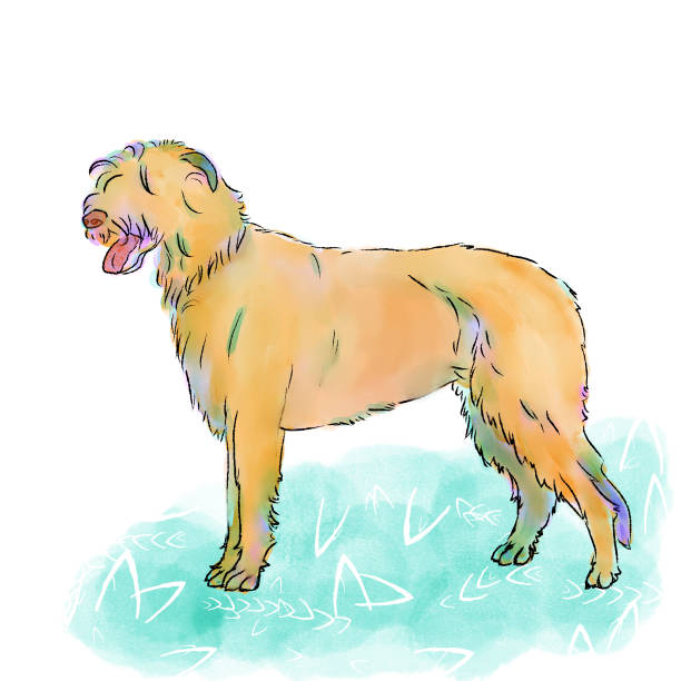 俏皮的愛爾蘭獵犬插圖 - menendez 幅插畫檔、美工圖案、卡通及圖標
