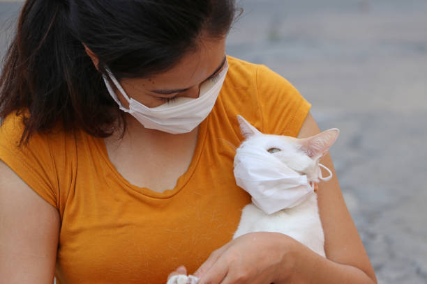 Masked Asian woman and her cat prevent germs. Tiny Particle or virus Covid 19 protection. stock photo