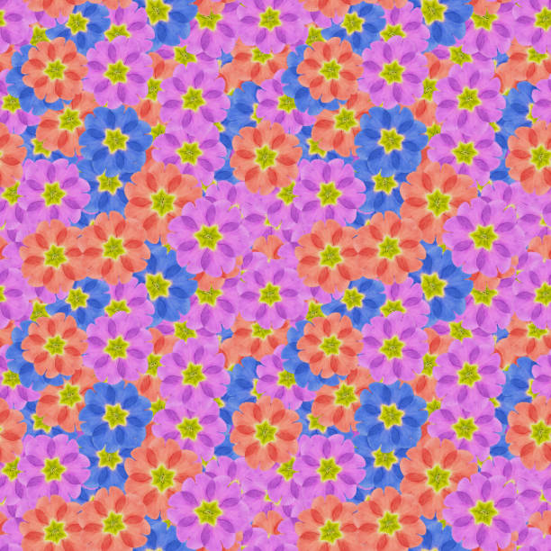 istock Primula, primrose. Illustration, texture of flowers. Seamless pattern for continuous replication. Floral background, photo collage for textile, cotton fabric. For use in wallpaper, covers 1212852099