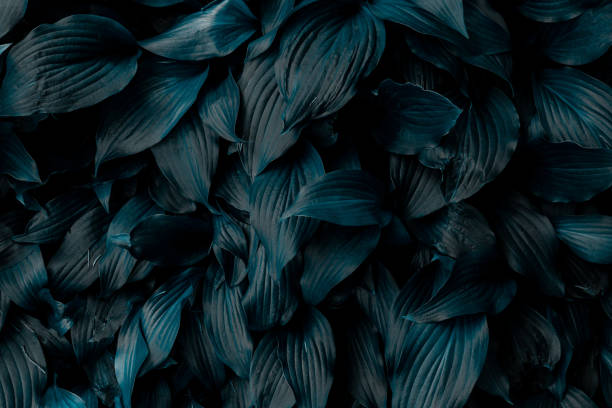 istock Background from leaves in blue tones. 1212859257