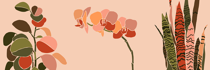 Art collage houseplant leaves and flowers in a minimal trendy style. Silhouette of orchid, sansevieria and peperomia plants in a contemporary simple abstract style on a pink background. Vector