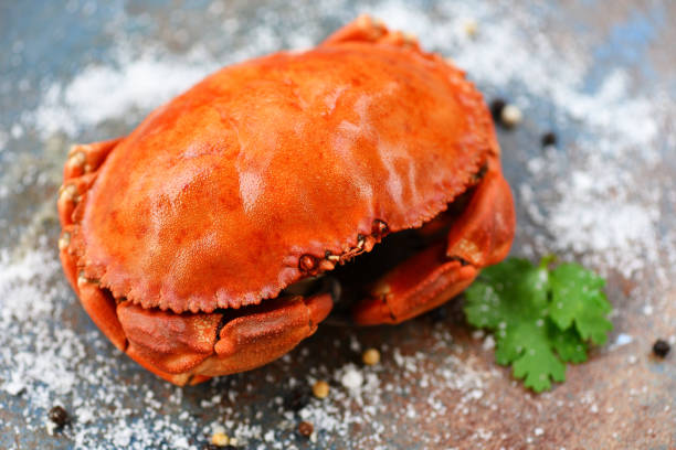 istock Fresh crab on black plate background - Cooked crab seafood 1212866382