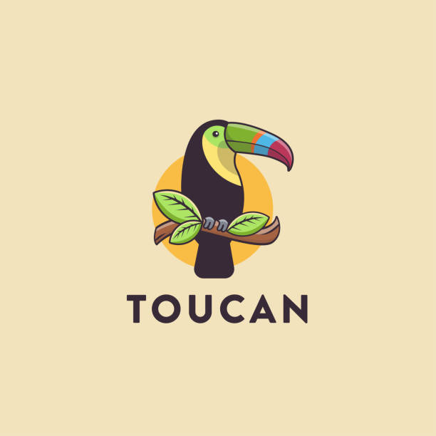 fun colorfull cartoon toucan cartoon vector fun colorfull cartoon toucan cartoon vector rainbow toucan stock illustrations