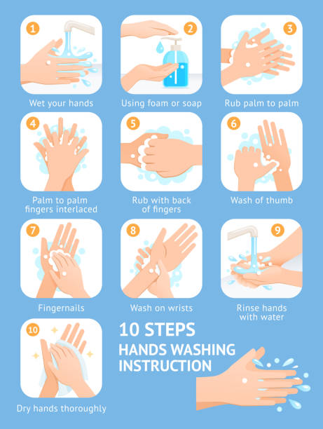 illustrazioni stock, clip art, cartoni animati e icone di tendenza di illustrazioni vettoriali di istruzioni per i passaggi di lavaggio delle mani. - antibacterial washing hands washing hygiene