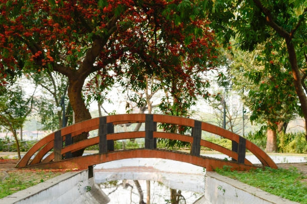 un petit pont en arc sur l’étang décoré de canal dans la ville de parc de jardin entouré par la canopée d’arbre d’érable et la fleur rouge de couleur d’automne et les feuilles vertes. - bench forest pond autumn photos et images de collection