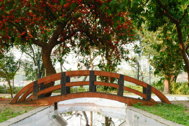 un piccolo ponte ad arco sopra lo stagno canale decorato in città parco giardino circondato da baldacchino dell'acero e colore autunno fiore rosso e foglie verdi. - somerset levels foto e immagini stock