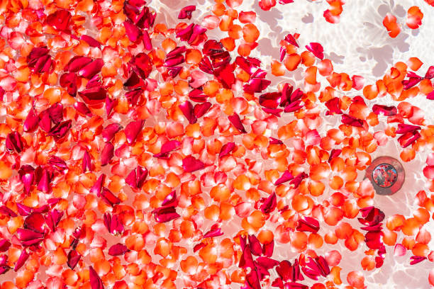 istock Red rose flower on water in bathtub decoration interior 1212869280