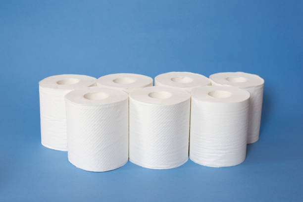 istock Toilet Paper 1212871083