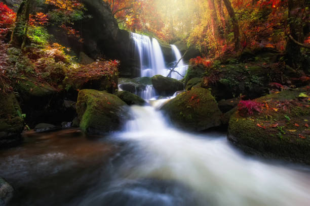 istock Beautiful landscape waterfall in Autumn 1212873891