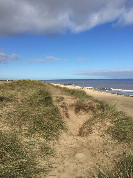 istock Horsey Gap beach in Norfolk 1212875854