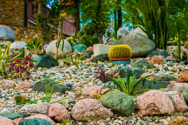 istock Landscape design. Plants grow on rocks. 1212877074