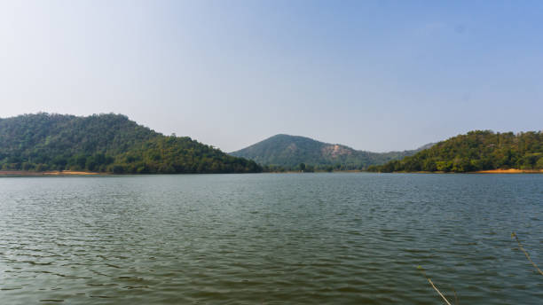 istock Jambughoda wildlife sanctuary 1212879030