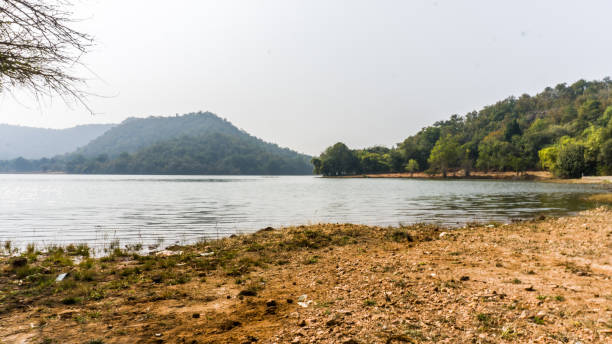 istock Jambughoda wildlife sanctuary 1212879222