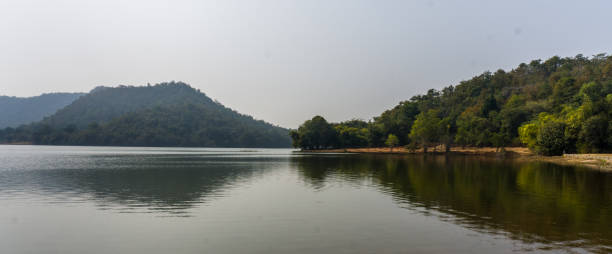 istock Jambughoda wildlife sanctuary 1212879225