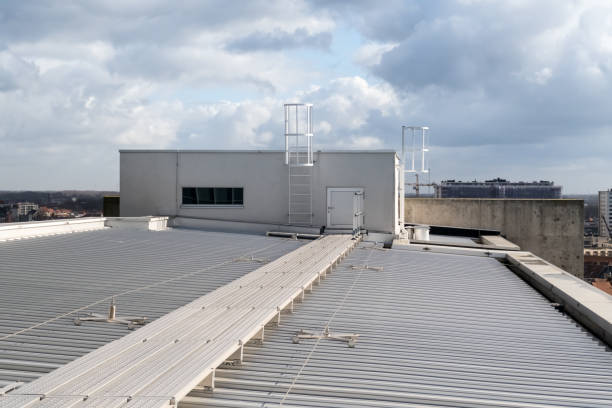 istock aluminum roof with safety 1212883633