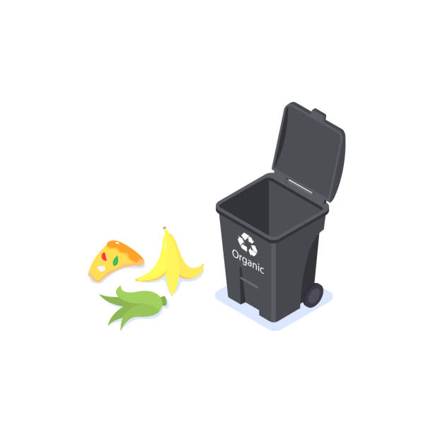 Sorting and processing food waste on a white background. Sorting and processing food waste on a white background. Vector isometric illustration. black trash bin stock illustrations