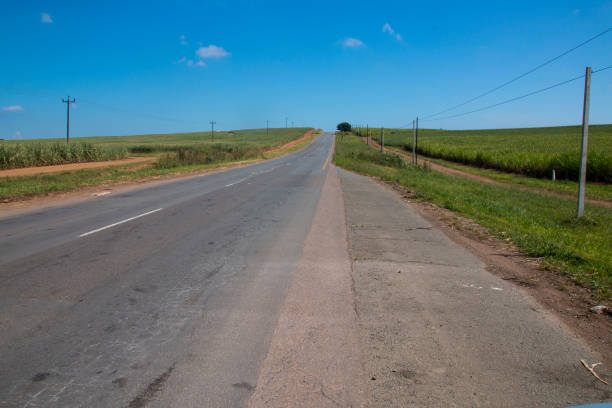 istock Long Bitumen Road Bordered by Sugar Cane and Electricity Poles 1212889988