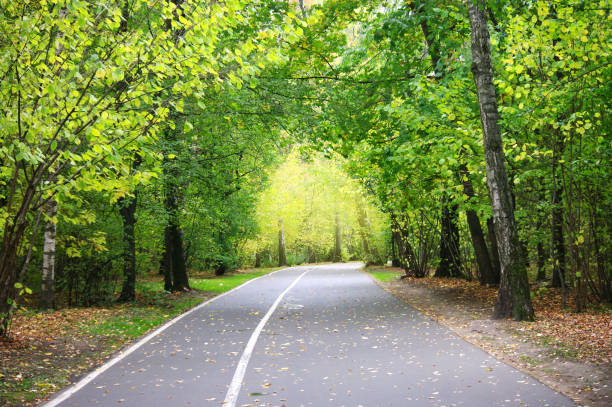 walkway in green park, asphalt road, bicycle route. Summer time holidays. copy space