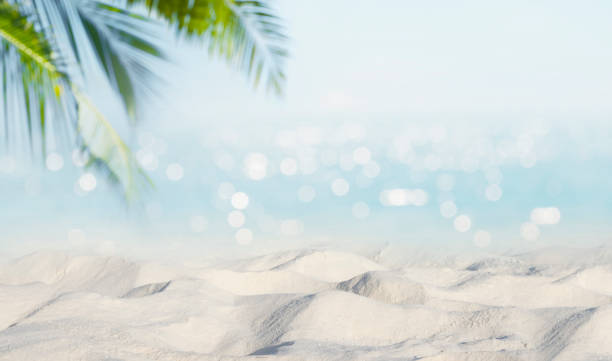 istock Exotic sandy beach with blurred summer sea on the background 1212896032