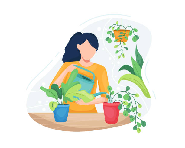 młoda kobieta dbając o rośliny - enjoyment growth gardening equipment human age stock illustrations