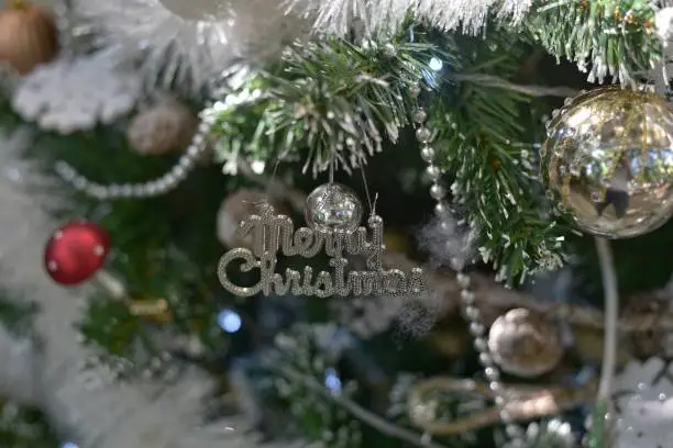 Christmas trees with sign Merry Christmas are decorated so beautifully for new year.