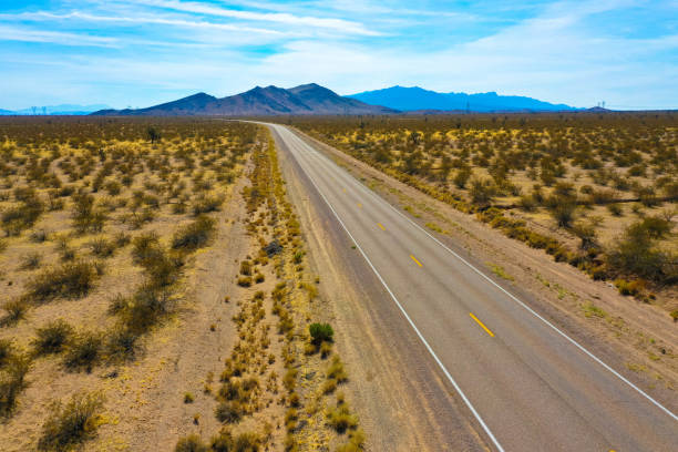 istock Endless road through Death Valley national park 1212903855