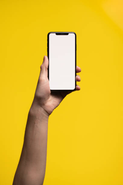 istock Phone with a white screen in the hands of a man 1212907311