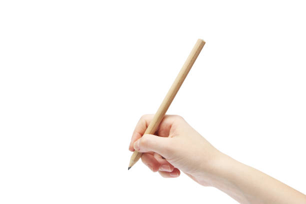 istock Hand with a pencil on a white background. Body parts. 1212912108