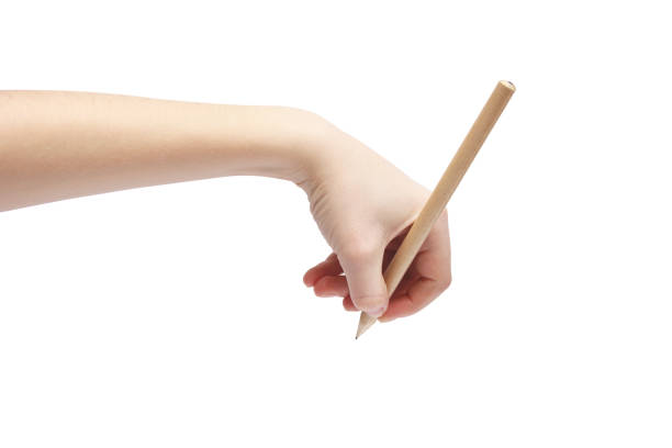 istock Hand with a pencil on a white background. Body parts. 1212912124