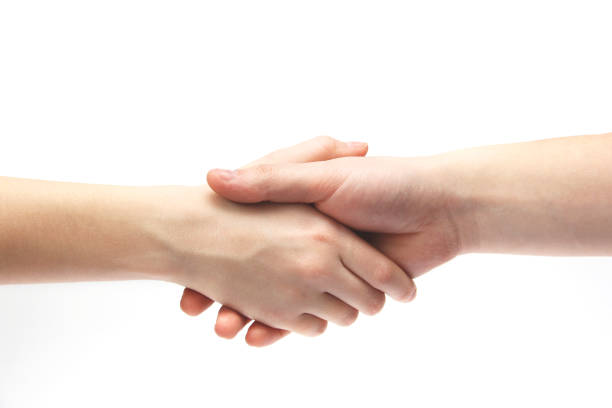istock Handshake on a white background. Body parts. Hands on a white background 1212912156