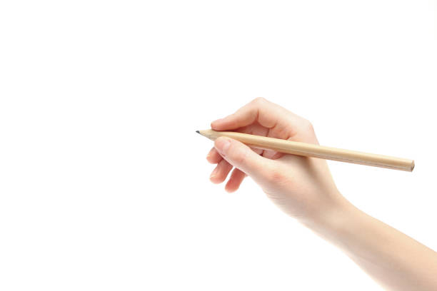 istock Hand with a pencil on a white background. Body parts. 1212912170