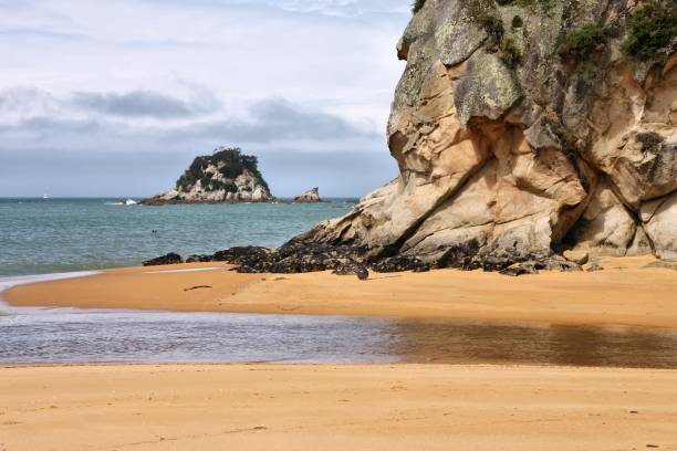 istock Tasman District, New Zealand 1212913834