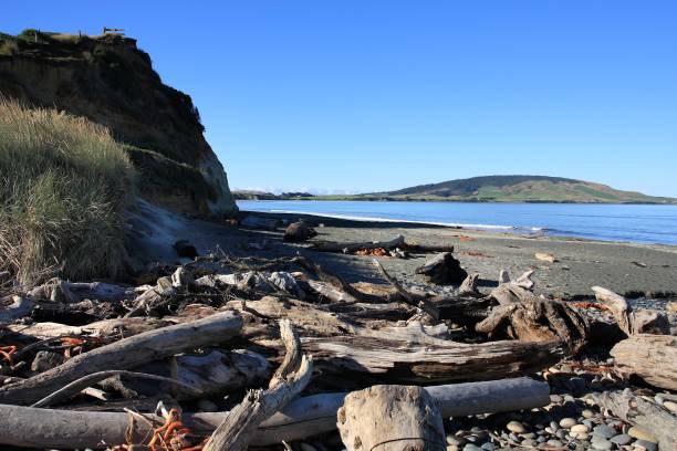 istock Orepuki, New Zealand 1212913999