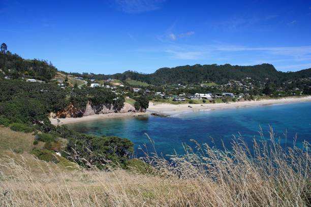istock Coromandel, New Zealand 1212914090