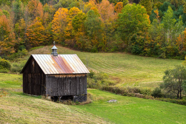 istock Wooden barn in a field surrounded by an autumnal forest 1212914992
